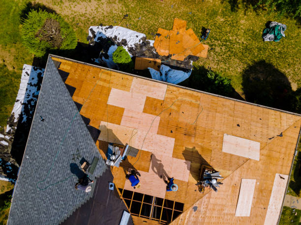 Best Roof Repair Services  in Pahala, HI